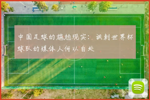 中国足球的尴尬现实：讽刺世界杯球队的媒体人何以自处