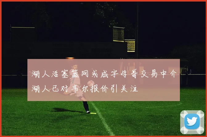 湖人活塞篮网或成字母哥交易中介湖人已对韦尔报价引关注